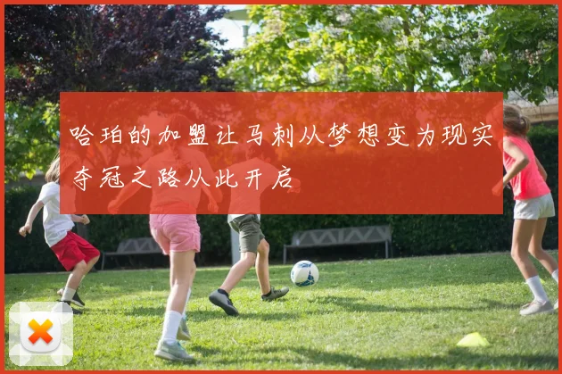 哈珀的加盟让马刺从梦想变为现实夺冠之路从此开启